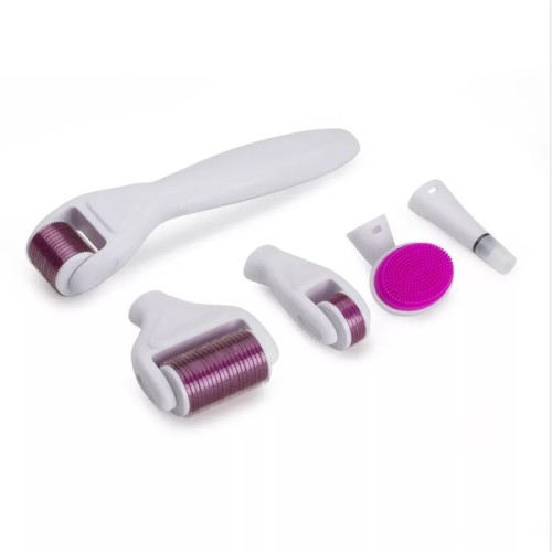 Derma Roller (6in1)